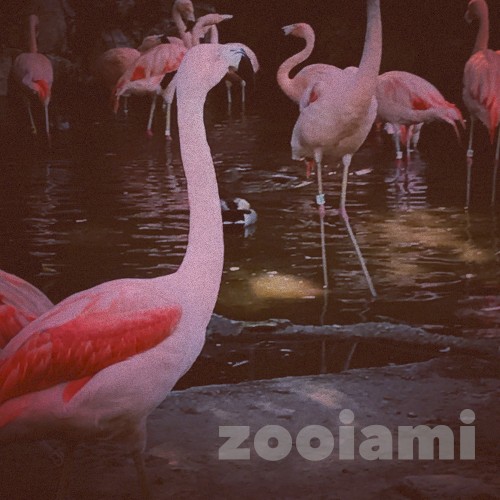 Zooiami