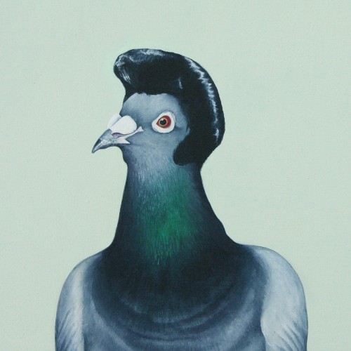 1/2 dove - 1/2 pigeon