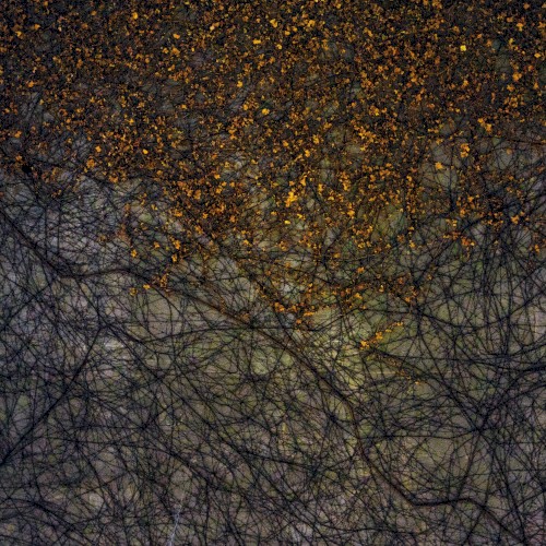 Unbound