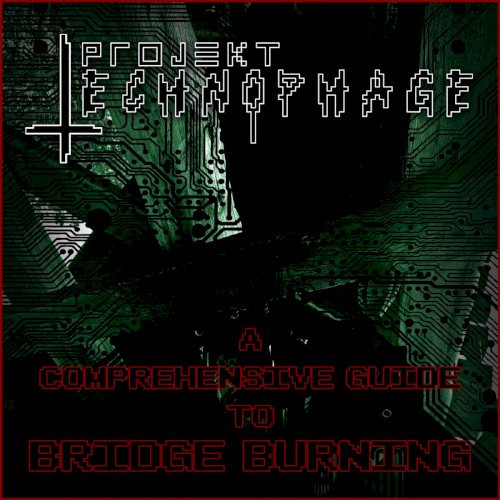 A Comprehensive Guide to Bridge Burning