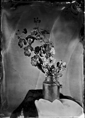 Library III