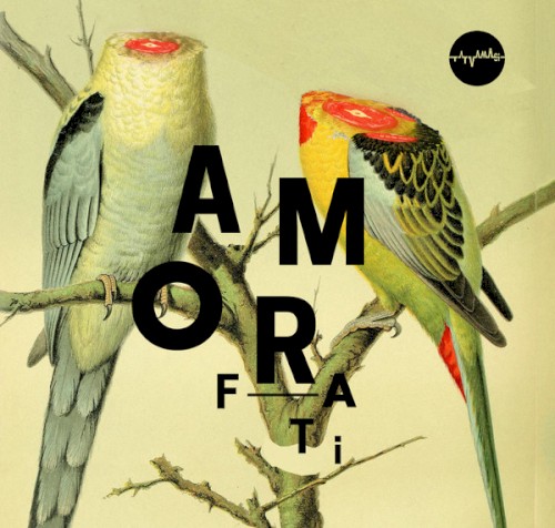 Amor Fati