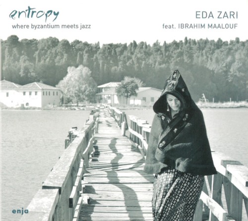 Entropy