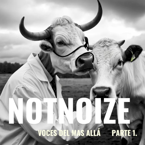 Voces del mas allá 1.