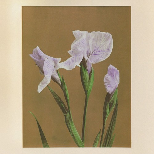 Sara Udon &ndash; II = II