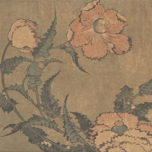 The 2017–2019 Collection, Vol. 3