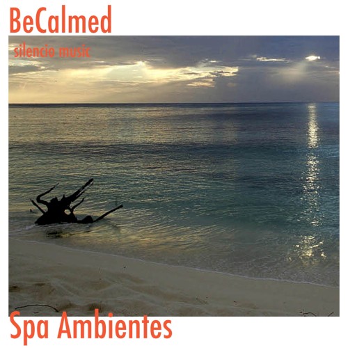BeCalmed: Spa Ambientes