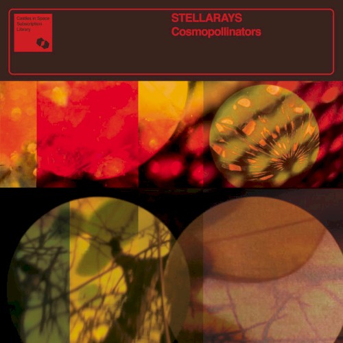 Cosmopollinators
