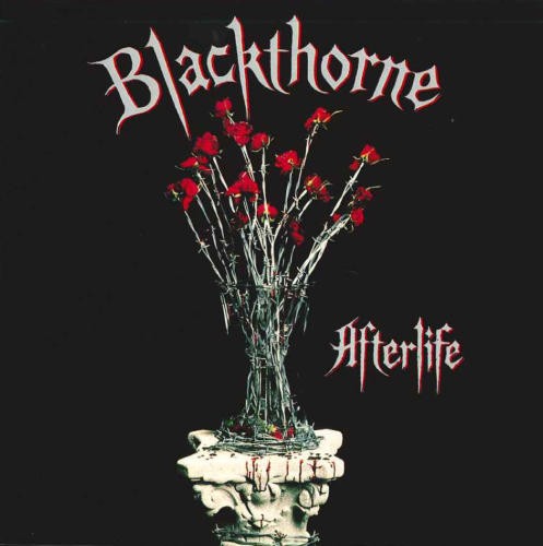 Afterlife